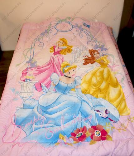 Одеяло детское полутороспальное зимнее "Принцессы в арке" Дисней (Disney, садик)